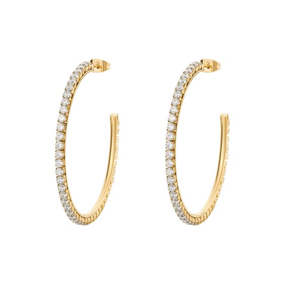 Earrings Brosway Woman Desideri in Steel BEIE017 - BEIE017